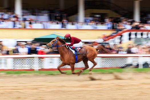 horse racing, abstract background, blurred contours