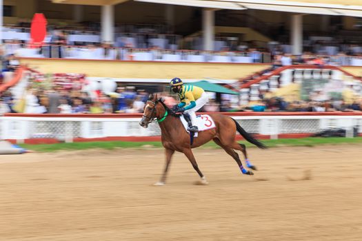 horse racing, abstract background, blurred contours