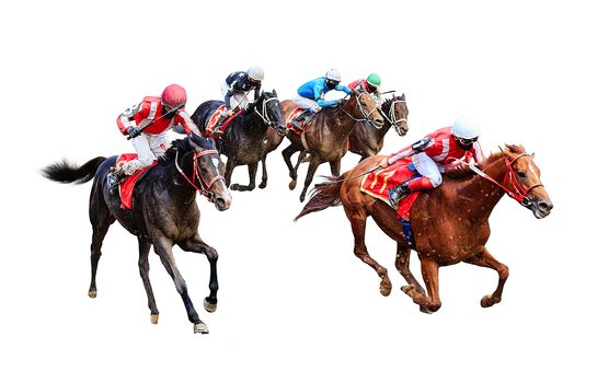 Racing, background, horses, racetrack isolated on white background