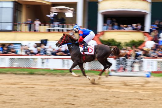 horse racing, abstract background, blurred contours