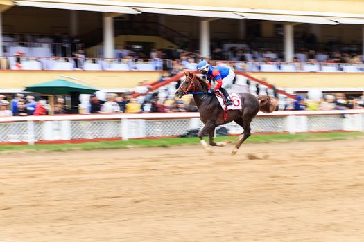 horse racing, abstract background, blurred contours