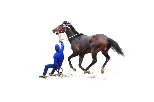 horse jockey racing isolated on white background