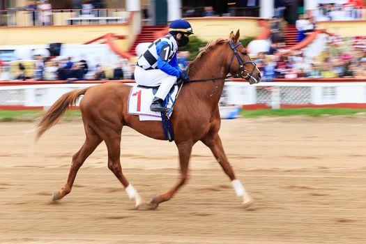 horse racing, abstract background, blurred contours