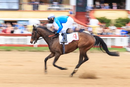 horse racing, abstract background, blurred contours