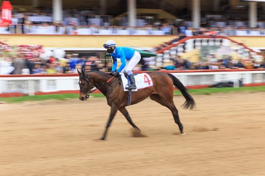 horse racing, abstract background, blurred contours