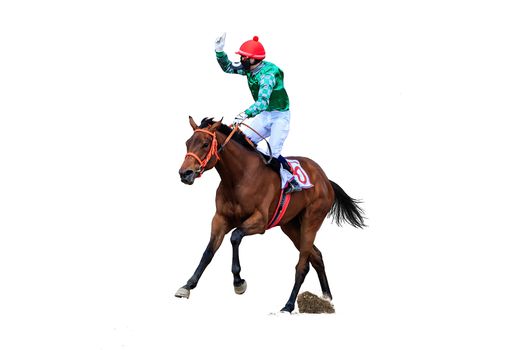 horse jockey racing isolated on white background