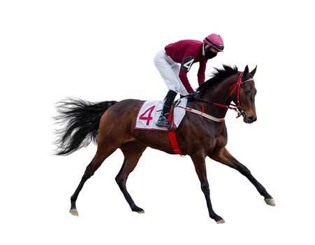 horse jockey racing isolated on white background