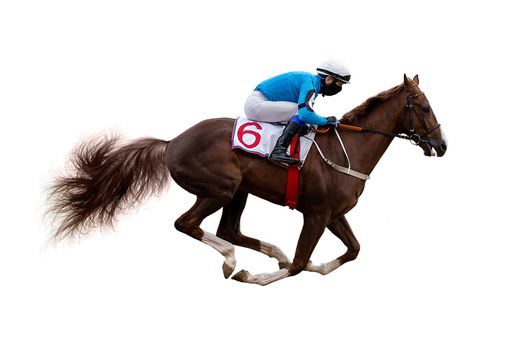 horse jockey racing isolated on white background