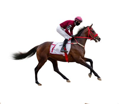 horse jockey racing isolated on white background