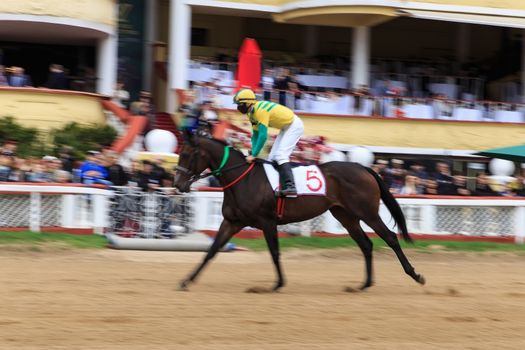 horse racing, abstract background, blurred contours