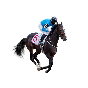 horse racing jockey isolated on white background