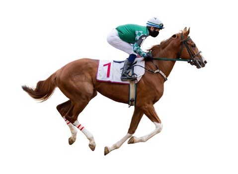 horse racing jockey isolated on white background