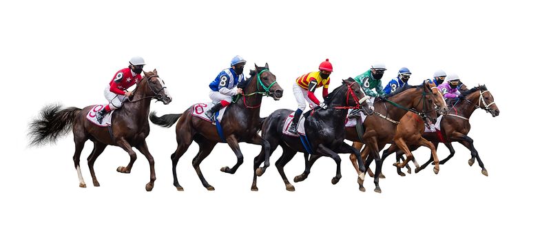 horse racing jockey isolated on white background