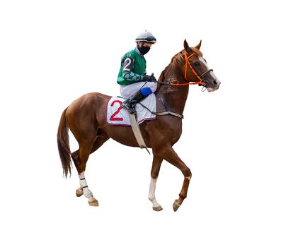 horse racing jockey isolated on white background