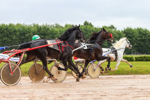 race two horses jockey racetrack