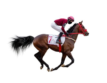 horse racing jockey isolated on white background