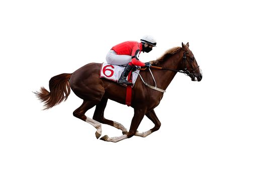 horse racing jockey isolated on white background