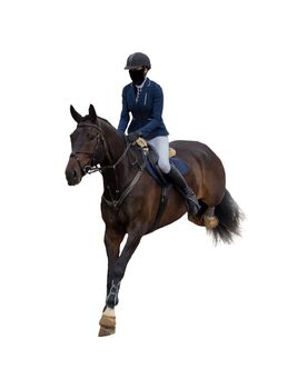 horse racing jockey isolated on white background  jumping competition