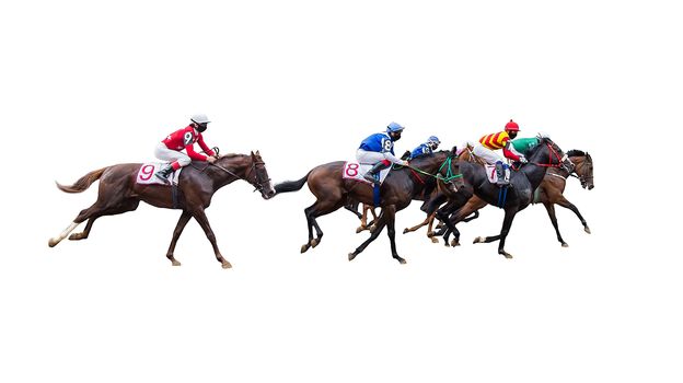 horse racing jockey isolated on white background