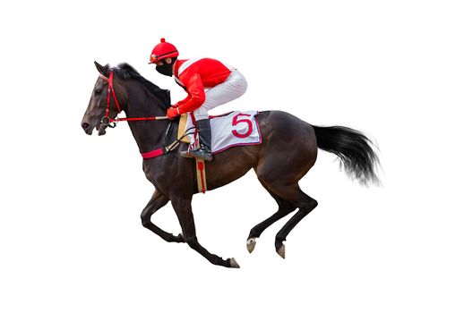 horse racing jockey isolated on white background