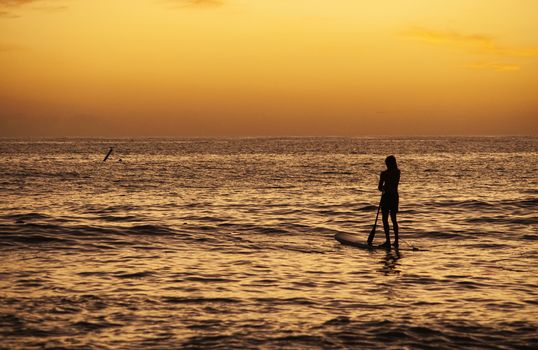 Rowing at the sea at sunset in Bayahibe, Dominican Republic