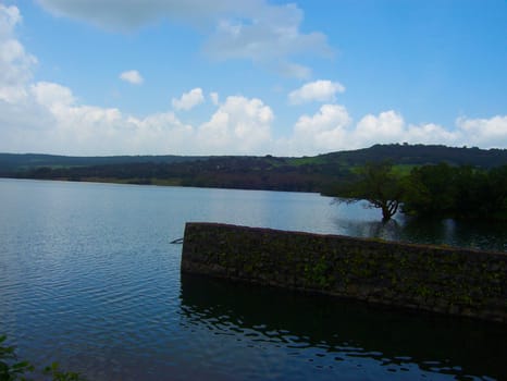 a waterfront in rural area