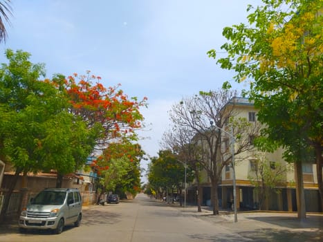 an indian society during day in summer