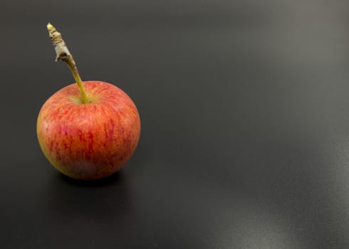 one single red apple on black background