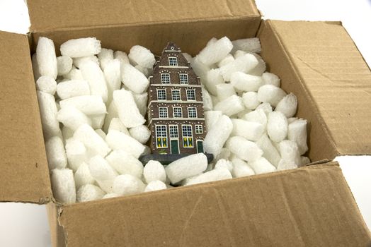 moving the house in cardboard box with shipping peanuts