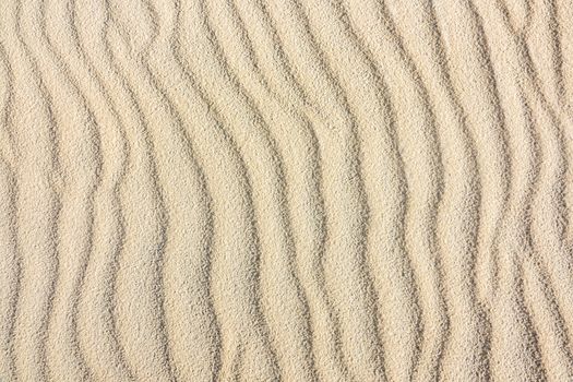 Abstract Background Texture Of Lines In A Sand Dune