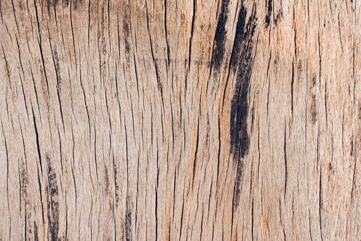 Old wood board, copy space wooden texture pattern background