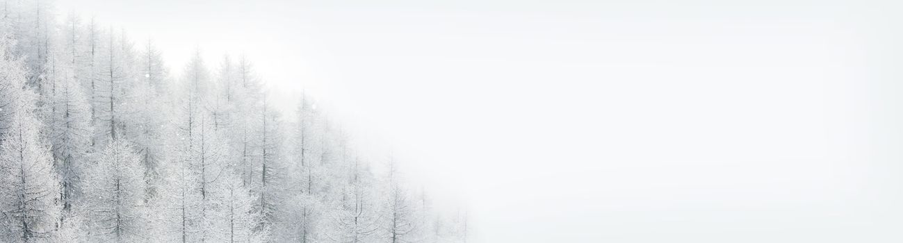 Winter landscape with mountain forest of snow covered trees