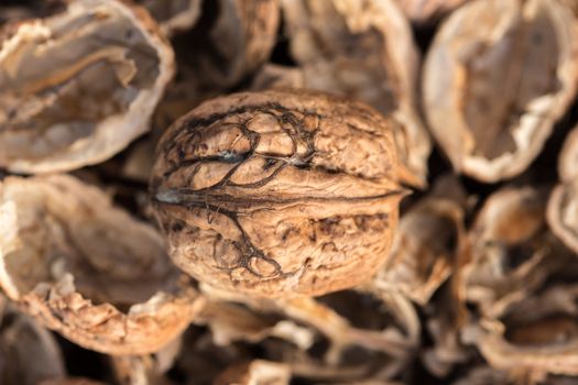 Broken walnut shells. Pieces of nutshells. Nutshell texture. Shells of walnut.