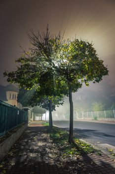 Walking path through village with tree at night lit by street lamps during fog.