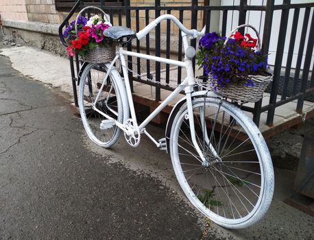 
Vintage two-wheeled bike with flowers on it front view.