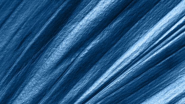Extreme close up view of tropical leaf toned in fashion blue color 2020. Copy space for text or design.