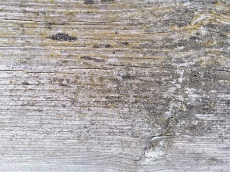 Old bright wood, background texture. Wood plank close up