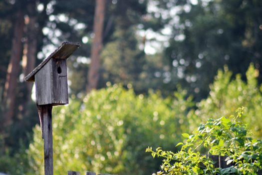 birdhouse on a tree in forest Park , hand wood shelter for birds to spend the winter