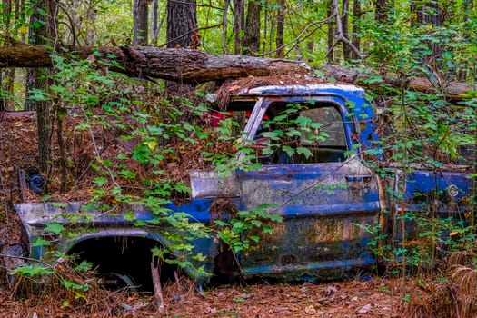 Old Pickup Trashed in Woods with Tree on Top