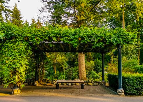 berg en bos city park in apeldoorn, the Netherlands, bench with rood, beautiful garden architecture