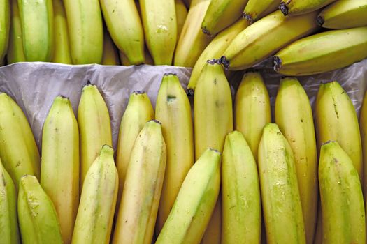 Seasonal fruits are placed in boxes in the grocery store. Close-up of fresh yellow bananas. Natural foods rich in vitamins for a healthy diet.