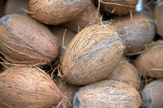 A lot coconuts in the supermarket. Many coco lying in a boxes. Top view. Mock up.Copy space. Selective focus.