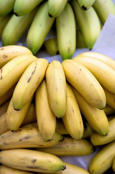 Bunch of bananas on boxes in the supermarket in the produce section