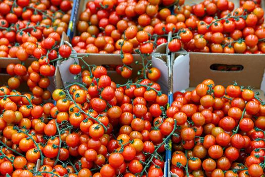 Red tomatoes healthy vegetables in carton box as food background. Supermarket retail.