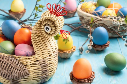 Easter composition - a wicker basket in the form of a chicken with colored eggs on a blue wooden table with willow twigs.