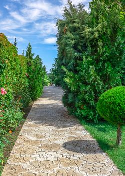 Ravadinovo, Bulgaria – 07.11.2019.  Path in the park of the castle Ravadinovo, on a sunny summer day