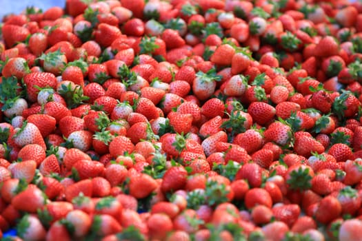 strawberry are on sale.background from freshly harvested strawberry