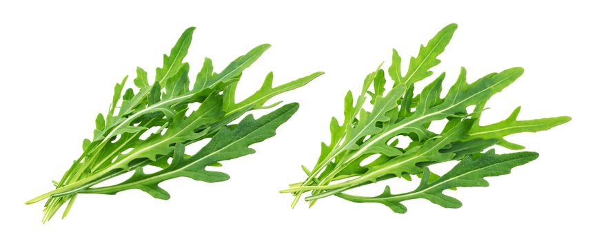 Rucola. Heap of fresh arugula leaves isolated on white background with clipping path