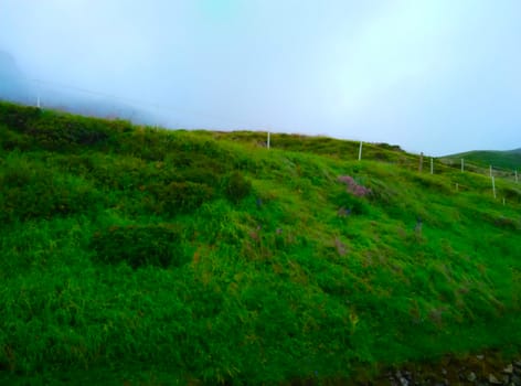 enjoying a hiking adventure