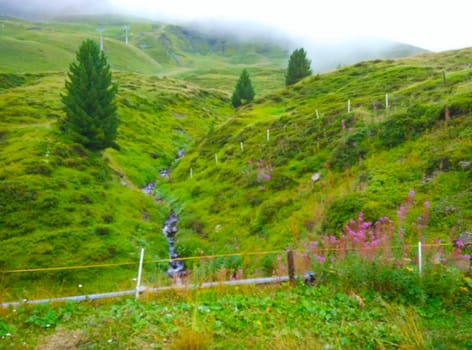 a rural area in Scotland